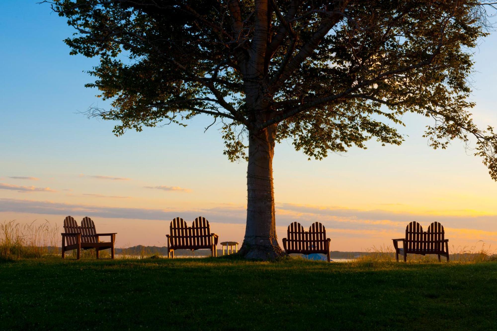Hyatt Regency Chesapeake Bay Golf Resort, Spa & Marina Cambridge Exterior photo